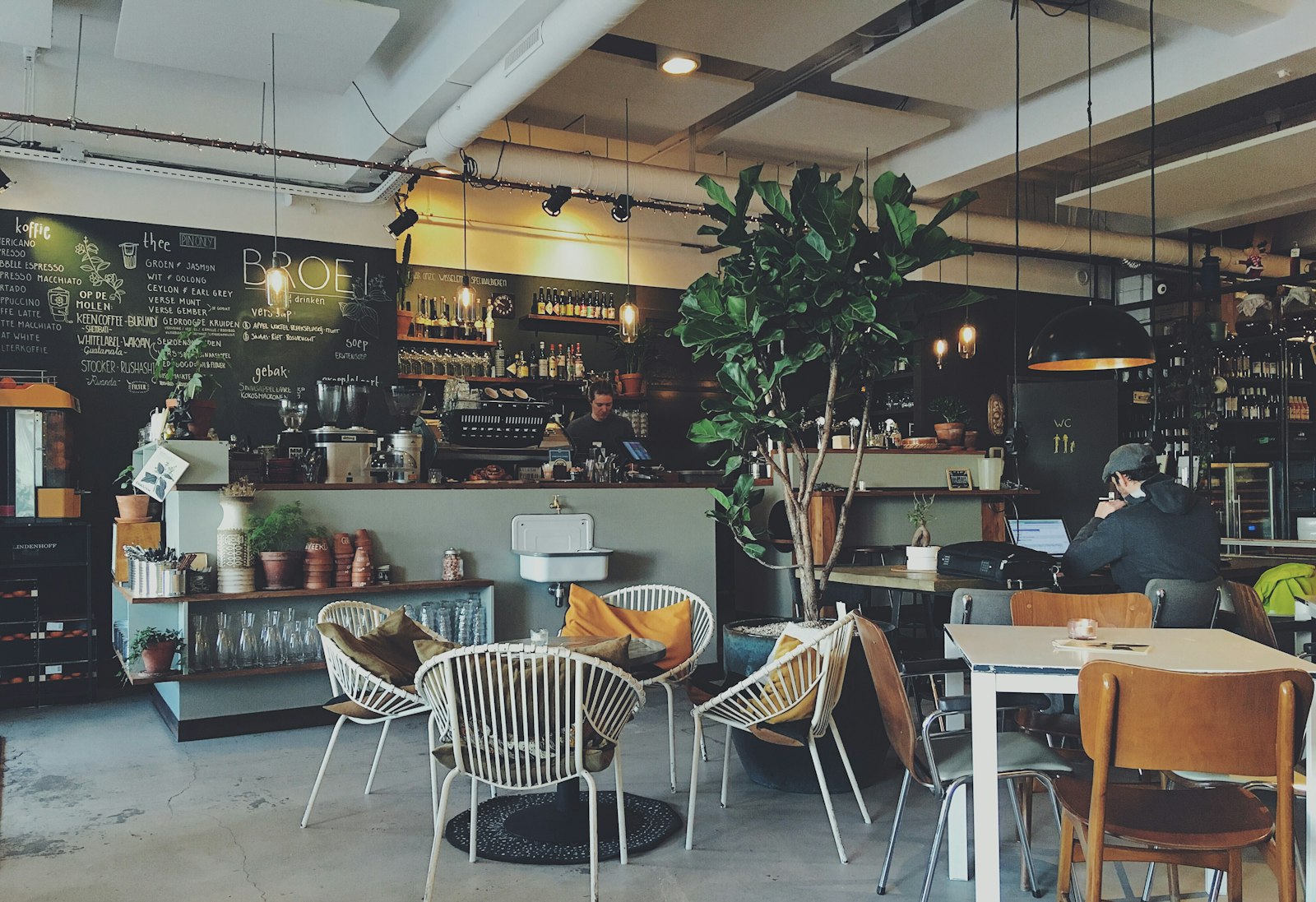 Bayside Cafe interior — warm morning light, wooden counter, coffee bar